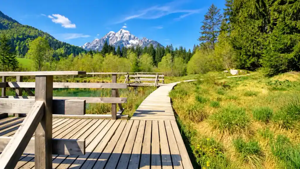 Wooden boardwalk winding through Zelenci nature reserve toward Mount Prisank