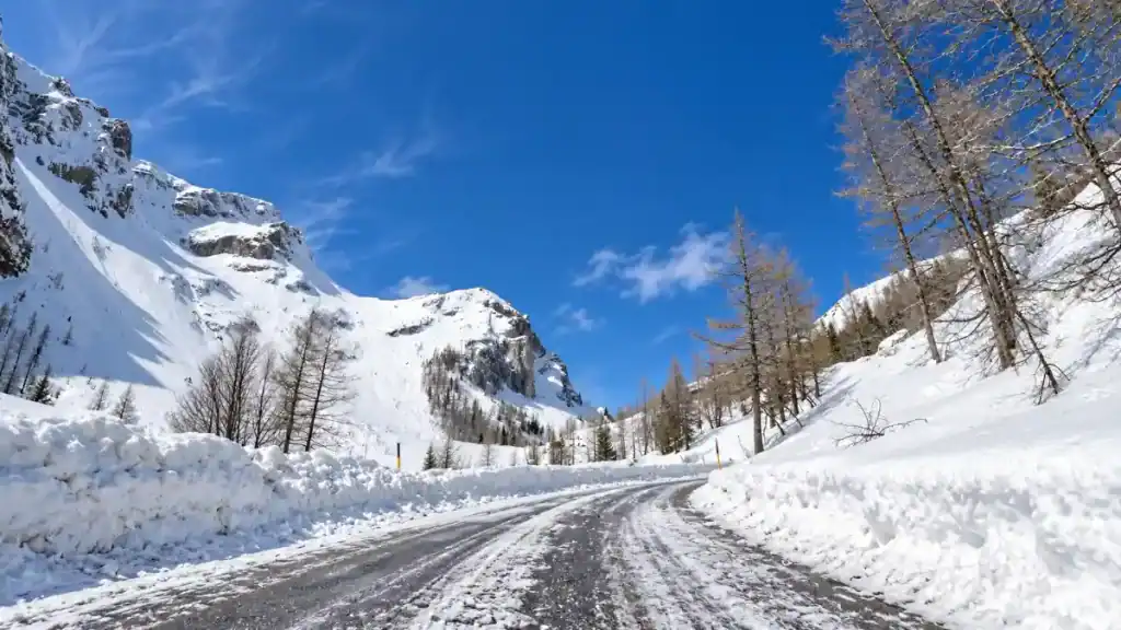 Bare larch trees line the snow-covered road toward Vršič Pass, cutting between steep snowbanks and rock cliffs