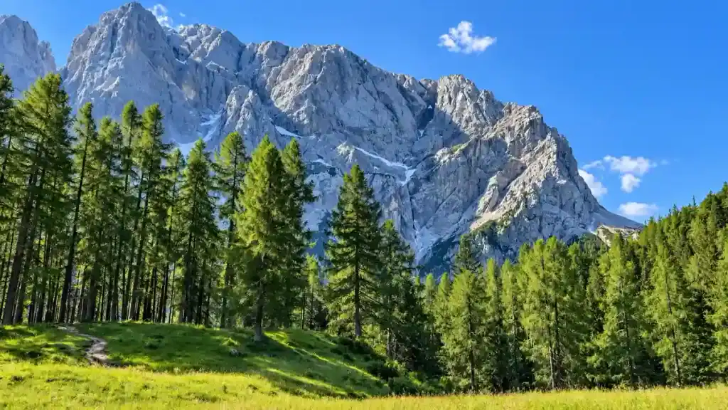 A grassy meadow trail leads toward the sheer limestone face of Prisank near the pass