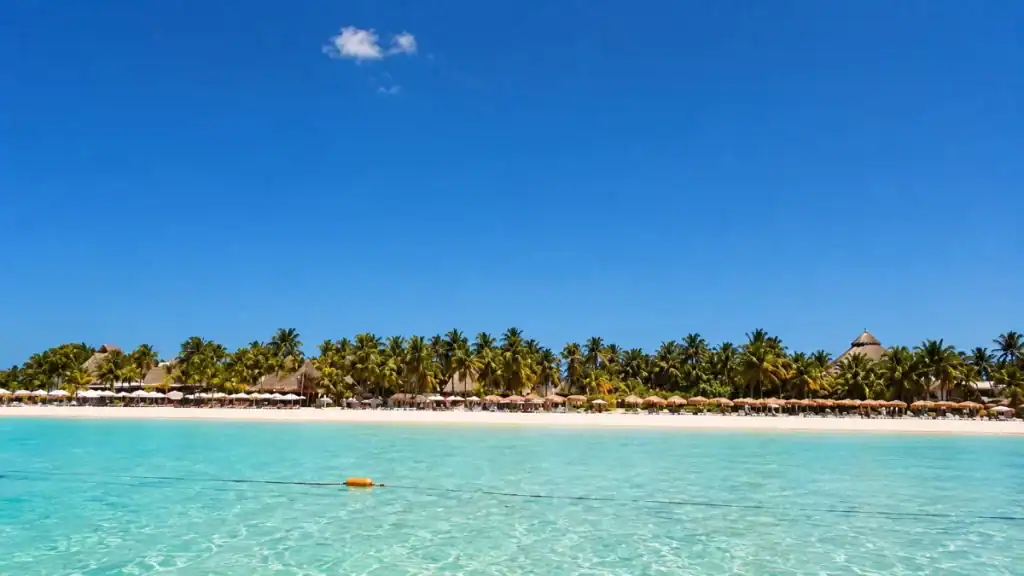 Thatched palapa umbrellas line a palm-fringed shore beside clear turquoise water