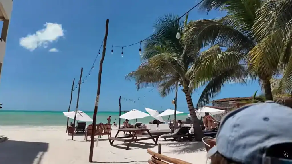White umbrellas and picnic tables under palms on a quiet Holbox beach