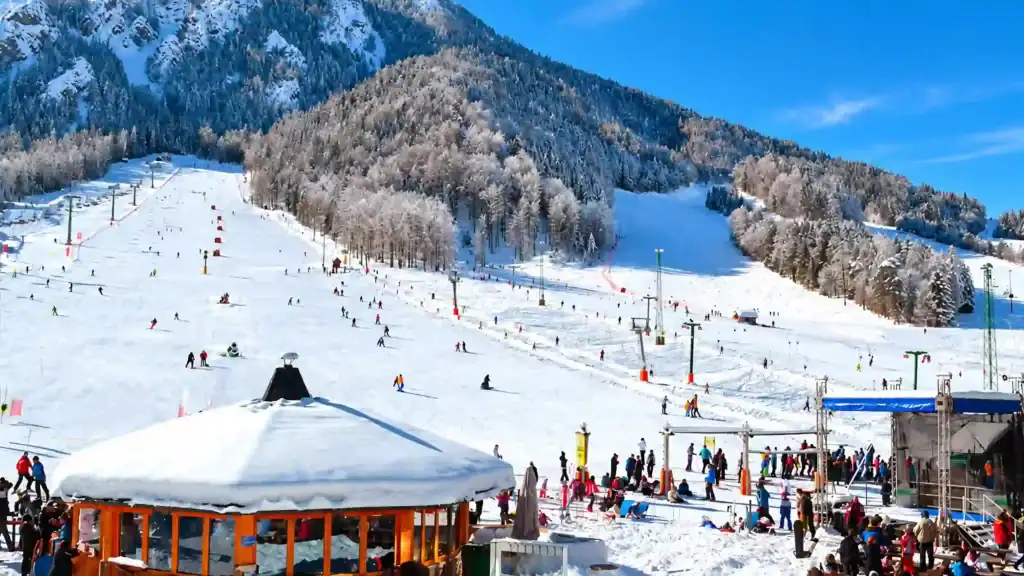Beginner skiers practice on the wide nursery slope at Kranjska Gora, skiing in Kranjska Gora at its busiest.