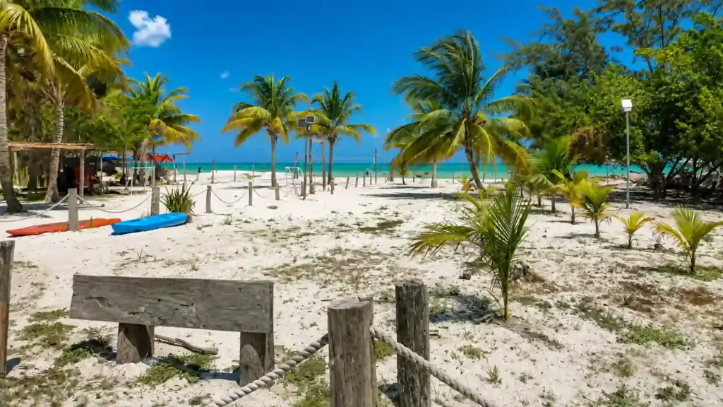 Kayaks rest on white sand beneath swaying palms, showing what is Isla Holbox like along its undeveloped shore.